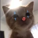 MeWhen_Homies18
