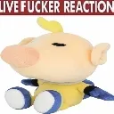 fucker