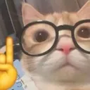NerdCat
