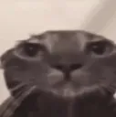 helpme