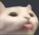 bleh