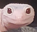 RawSmile Discord emoji