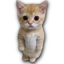 D7_StandingCat Discord emoji