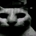 Cat1