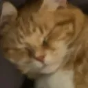 eepy_MeMe eepy_MeMe