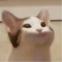 popcat Discord Emoji