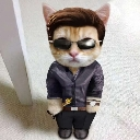 johnnycat