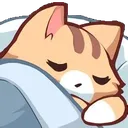 catsnooze