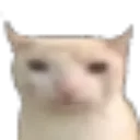 catbruh