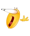 holy_shit