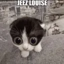 jeezlouise jeezlouise