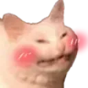 blushu