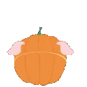 finchiePeek_Pumpkin