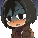 mikasa_worried