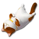 purrfect