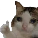 thumbcry Discord Emoji
