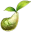 patron_mokoko1