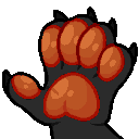 Custer_Paw_R
