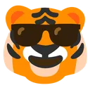 tigcool tigcool
