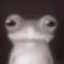 forg forg