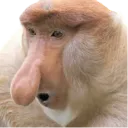 monkshock