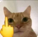catmarah