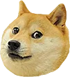 ConcernDoge Discord Emoji