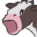 MOOOO