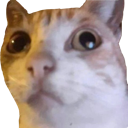 weirdcat Discord emoji
