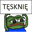 TESKNIE