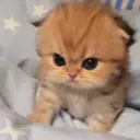 emoji_3