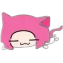 catsleep