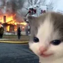 heheCat