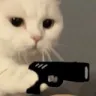 TT_CatGun
