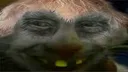 xdd xdd
