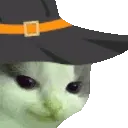 MEOWDY
