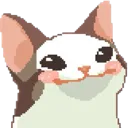 LCPoliteCat