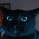 kitty