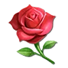 rose