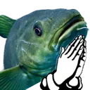 codbless codbless