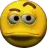 erm