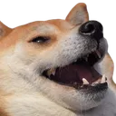 bad_boye