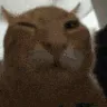 buh