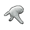 Catrun catRun Discord Emoji