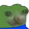 Frog_PepeCat