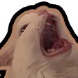 aaaa