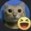 XD