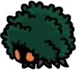 mossbug