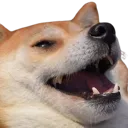8n