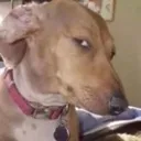 tomysideeye